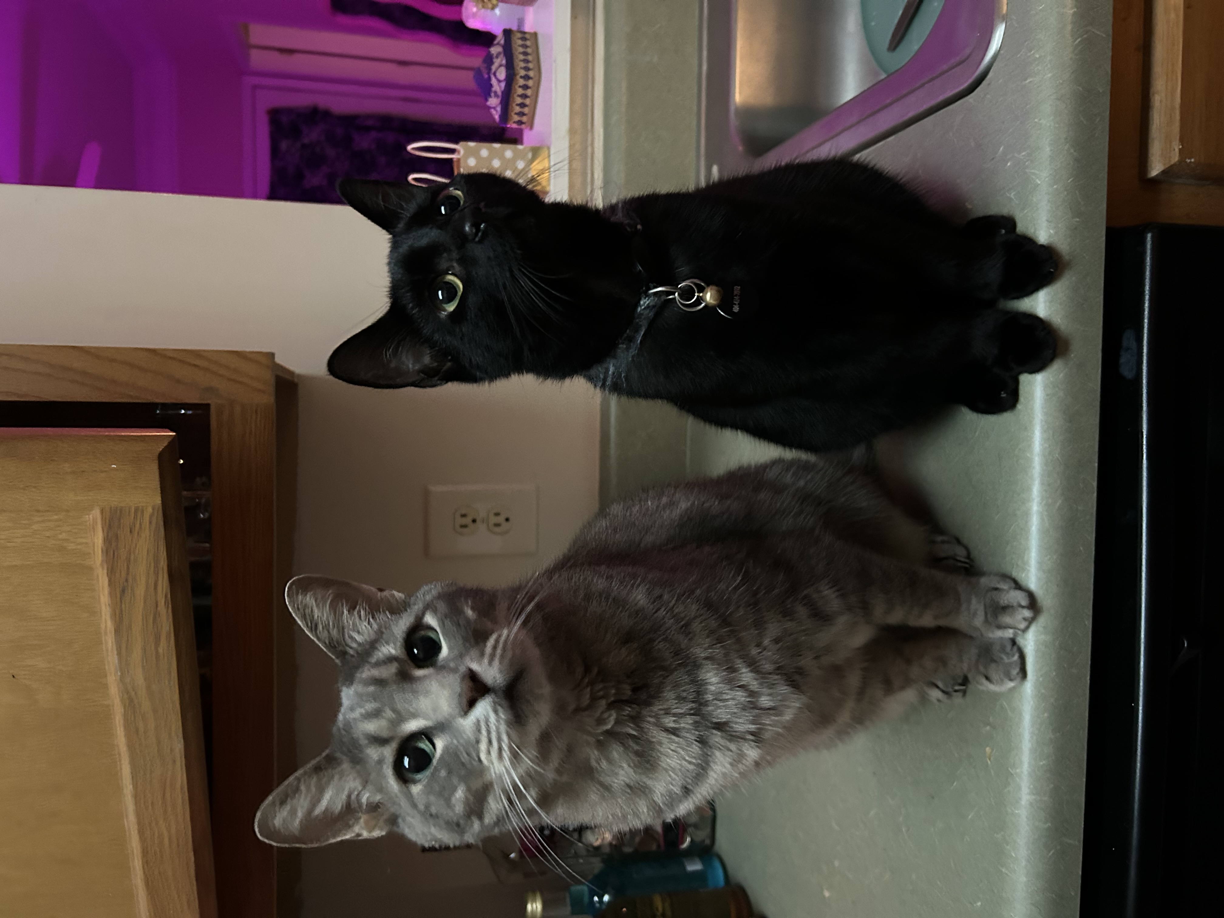 My two children. Yes, I gave birth to them